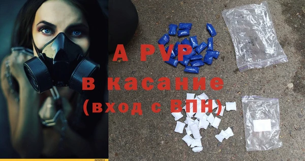 ПСИЛОЦИБИНОВЫЕ ГРИБЫ Балабаново